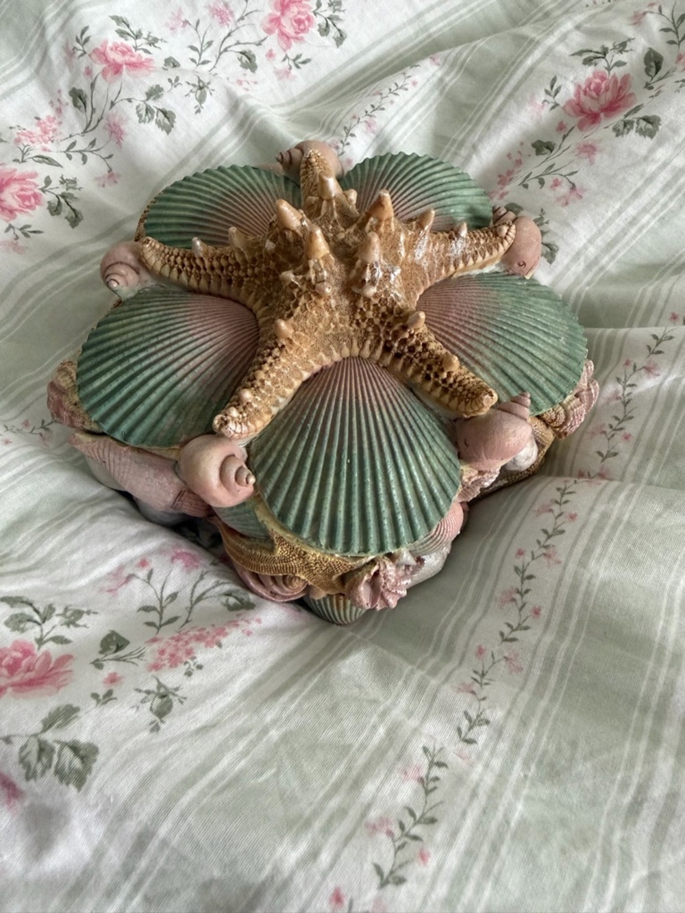 Touch of Class Seashell Trinket Box